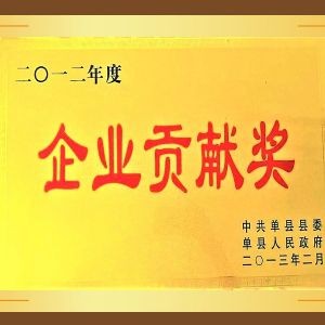 企業貢（gòng）獻獎